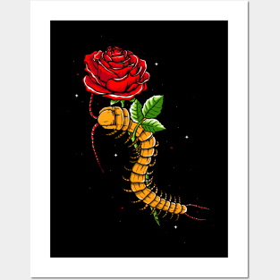 centipede wrapped around a flower Posters and Art